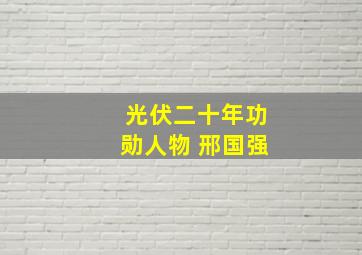 光伏二十年功勋人物 邢国强